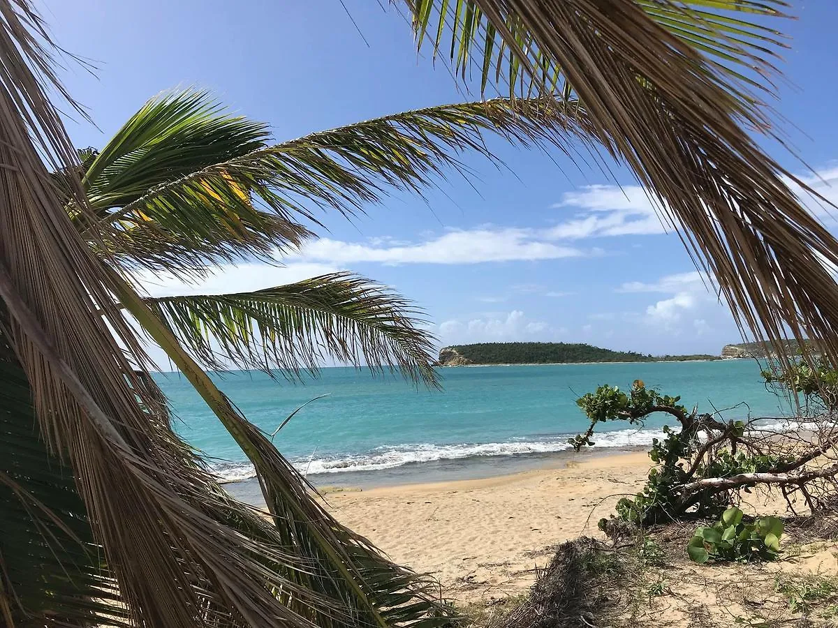 Vieques Good Vibe Guest House